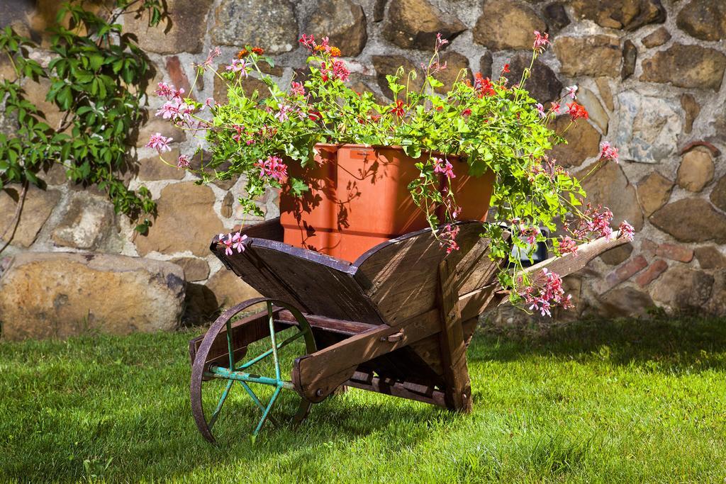 Villa Antico Borghetto Di Tigliano 빈치 외부 사진