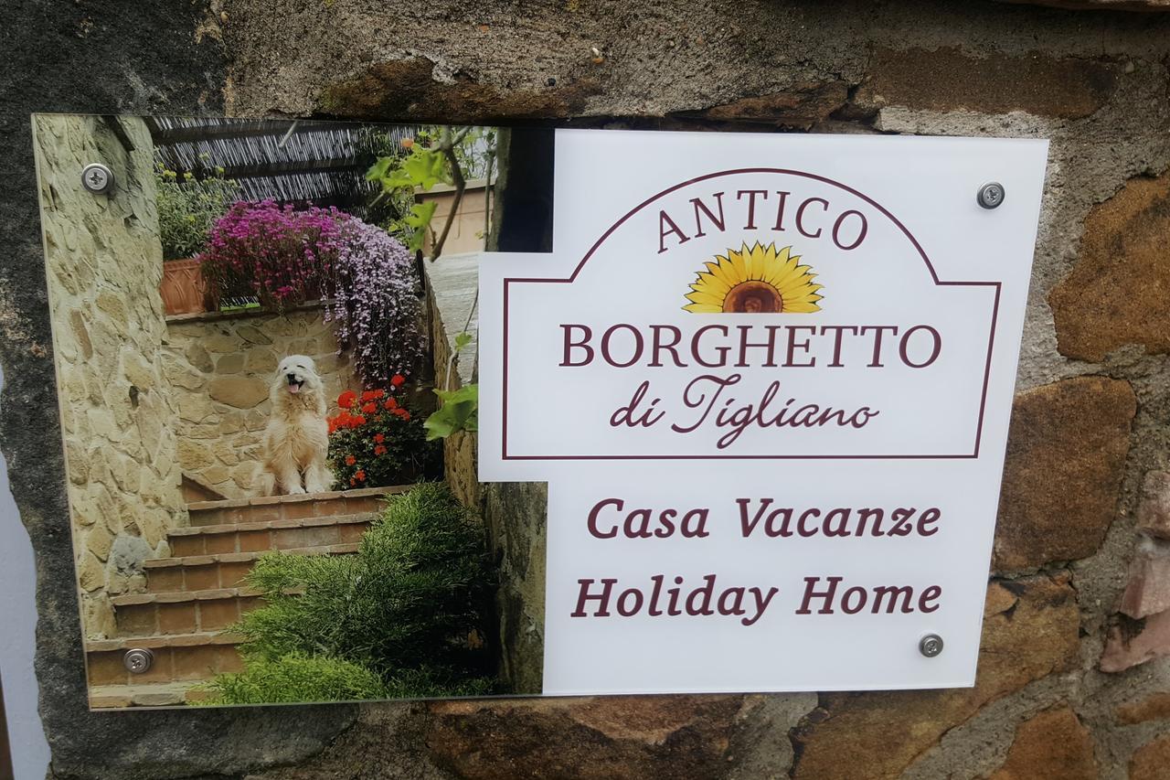 Villa Antico Borghetto Di Tigliano 빈치 외부 사진